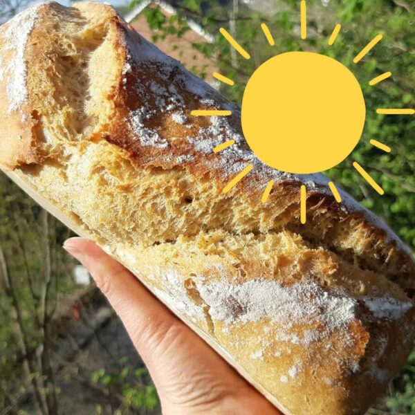 Pain campagne