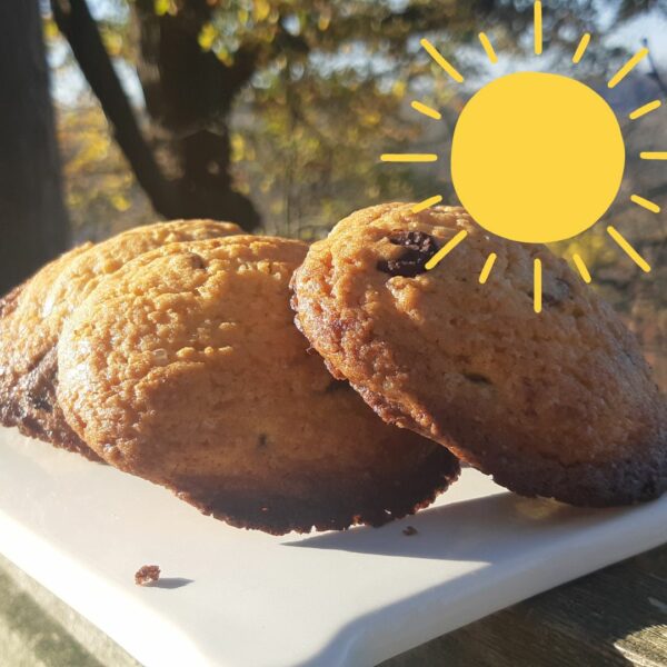 Cookies au chocolat