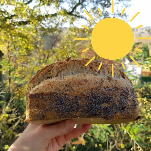 Pain aux Graines