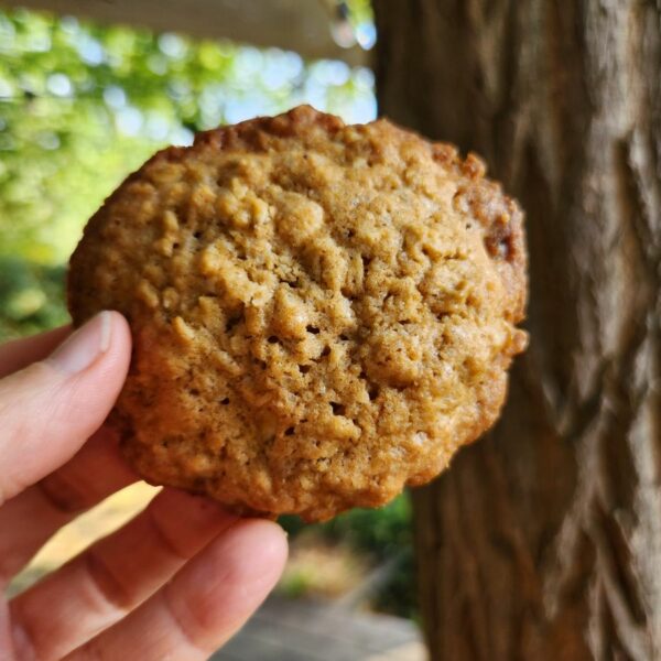 Cookies avoine, coco, chocolat blanc