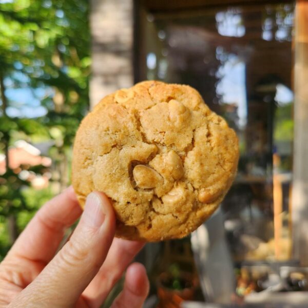 Cookies au cacahuètes&canneberges