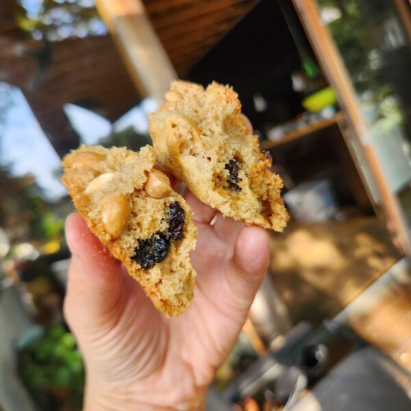Alternative view of Cookies au cacahuètes&canneberges